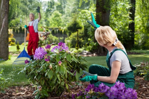 Symbol for consent and cookie preference for Battersea gardening services