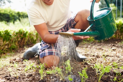Professional landscaper designing a sustainable garden