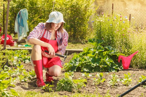 Winter garden maintenance in Battersea