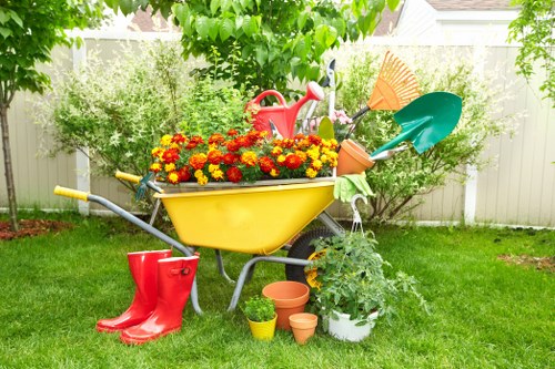 Professional lawn mowing service in Battersea