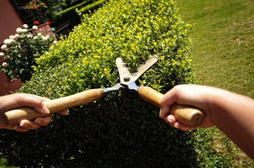 Professional garden maintenance services in Battersea