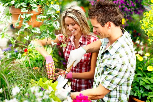 Customized lawn care plans in Battersea