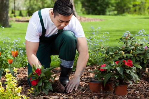 Eco-friendly garden clearance practices in Battersea