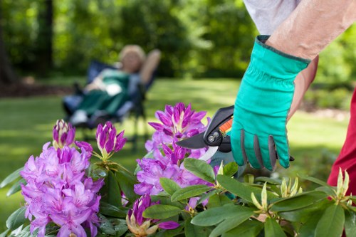 Eco-friendly garden maintenance by Gardeners Battersea