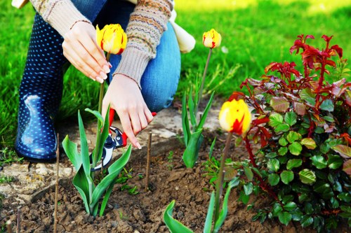 Autumn garden preparation in Battersea