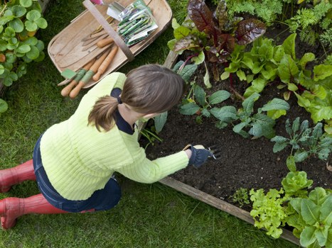 Choosing the right lawn mowing provider