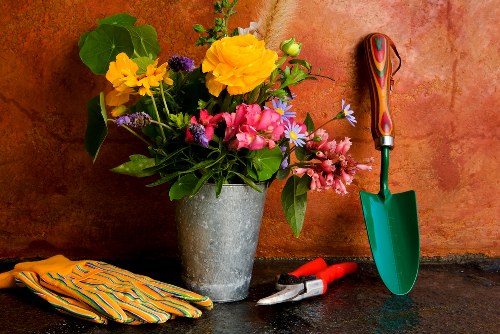 Seasonal garden maintenance by Gardeners Battersea