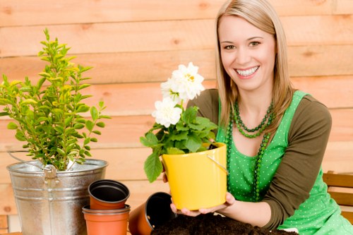 Eco-friendly tree management practices in Battersea