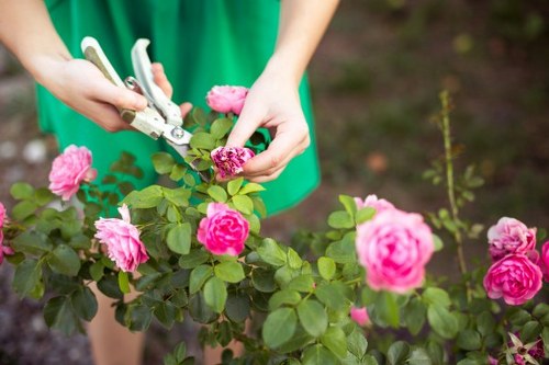 Price list and estimate documents for gardening services