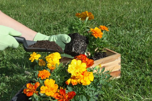 Tools for professional hedge trimming