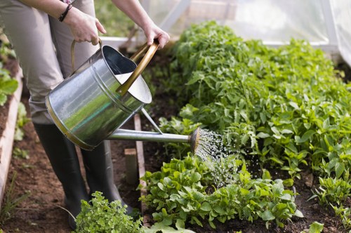 Summer garden care activities in Battersea
